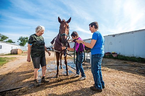 MIKAELA MACKENZIE / WINNIPEG FREE PRESS

Sisters Donna (left), Linda, and Marion Johnston give Wire Me The Money a bath at the Assiniboia Downs backstretch in Winnipeg on Friday, Aug. 7, 2020. The three trainers are having a career year. For George Williams story.
Winnipeg Free Press 2020.