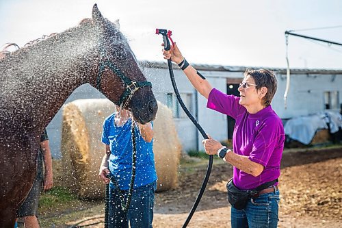 MIKAELA MACKENZIE / WINNIPEG FREE PRESS

Linda Johnston gives Wire Me The Money a bath with her sisters at the Assiniboia Downs backstretch in Winnipeg on Friday, Aug. 7, 2020. The three trainers are having a career year. For George Williams story.
Winnipeg Free Press 2020.