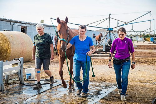 MIKAELA MACKENZIE / WINNIPEG FREE PRESS

Sisters Donna (left), Marion, and Linda Johnston walk Barbie's Quest out for a photo at the Assiniboia Downs backstretch in Winnipeg on Friday, Aug. 7, 2020. The three trainers are having a career year. For George Williams story.
Winnipeg Free Press 2020.