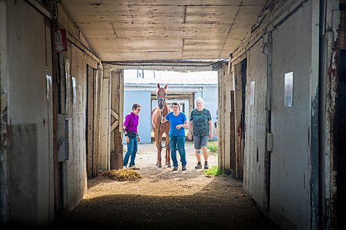 MIKAELA MACKENZIE / WINNIPEG FREE PRESS

Sisters Linda (left), Marion, and Donna Johnston walk Barbie's Quest out for a photo at the Assiniboia Downs backstretch in Winnipeg on Friday, Aug. 7, 2020. The three trainers are having a career year. For George Williams story.
Winnipeg Free Press 2020.