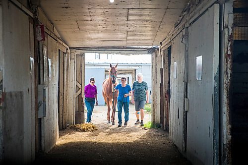 MIKAELA MACKENZIE / WINNIPEG FREE PRESS

Sisters Linda (left), Marion, and Donna Johnston walk Barbie's Quest out for a photo at the Assiniboia Downs backstretch in Winnipeg on Friday, Aug. 7, 2020. The three trainers are having a career year. For George Williams story.
Winnipeg Free Press 2020.