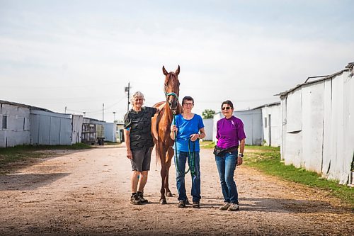 MIKAELA MACKENZIE / WINNIPEG FREE PRESS

Sisters Donna, Marion, and Linda Johnston pose for a portrait with Barbie's Quest at the Assiniboia Downs backstretch in Winnipeg on Friday, Aug. 7, 2020. The three trainers are having a career year. For George Williams story.
Winnipeg Free Press 2020.