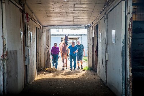 MIKAELA MACKENZIE / WINNIPEG FREE PRESS

Sisters Linda (left), Marion, and Donna Johnston walk Barbie's Quest out for a photo at the Assiniboia Downs backstretch in Winnipeg on Friday, Aug. 7, 2020. The three trainers are having a career year. For George Williams story.
Winnipeg Free Press 2020.