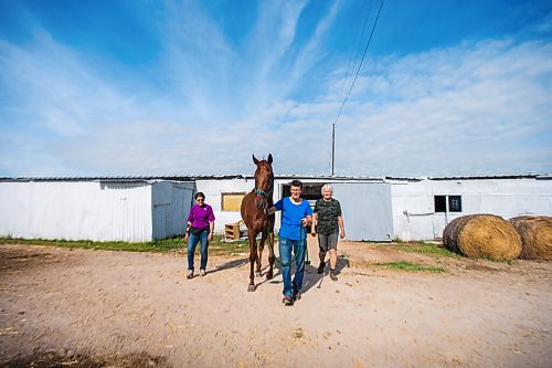 MIKAELA MACKENZIE / WINNIPEG FREE PRESS

Sisters Linda  (left), Marion, and Donna Johnston walk back with Barbie's Quest at the Assiniboia Downs backstretch in Winnipeg on Friday, Aug. 7, 2020. The three trainers are having a career year. For George Williams story.
Winnipeg Free Press 2020.