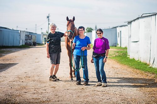 MIKAELA MACKENZIE / WINNIPEG FREE PRESS

Sisters Donna, Marion, and Linda Johnston pose for a portrait with Barbie's Quest at the Assiniboia Downs backstretch in Winnipeg on Friday, Aug. 7, 2020. The three trainers are having a career year. For George Williams story.
Winnipeg Free Press 2020.