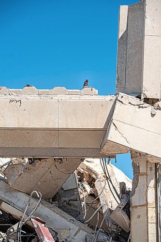 Mike Sudoma / Winnipeg Free Press
A lonely pigeon perches atop the remains of the Pubic Safety Building Saturday afternoon, a space that many pigeons called home before demolition began this past winter.
August 7, 2020