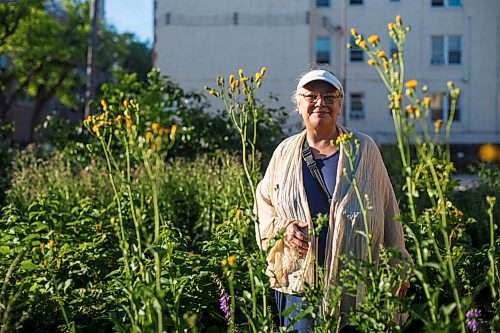 MIKE DEAL / WINNIPEG FREE PRESS
Elder Audrey Logan has been building an Indigenous farming site at the old Klinic building on Broadway for the last number of years to teach and share traditional farming techniques and the community. The West Broadway Community Organization has started a fundraiser to move the garden site and make a more permanent home for Audrey and her project.
200716 - Thursday, July 16, 2020.
