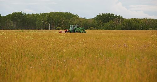 MIKE DEAL / WINNIPEG FREE PRESS
Farm project - The Tapley farm
Graham Tapley with his son Walker, 2, cutting hay in one of their fields.
200720 - Monday, July 20, 2020.