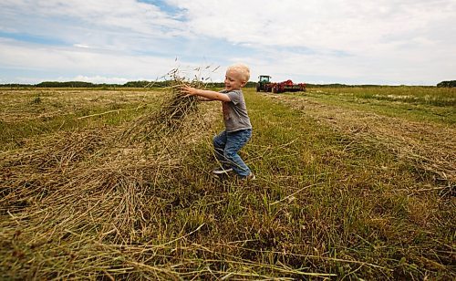 MIKE DEAL / WINNIPEG FREE PRESS
Farm project - The Tapley farm
Walker Tapley, 2, "helps" his dad, Graham who is driving the tractor cutting hay.
200720 - Monday, July 20, 2020.