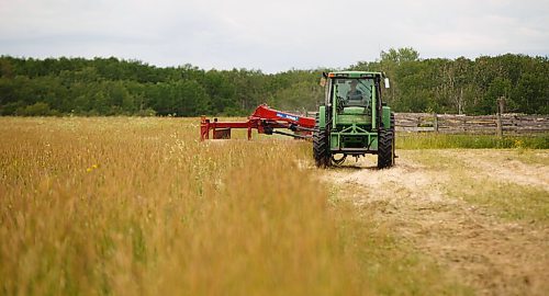 MIKE DEAL / WINNIPEG FREE PRESS
Farm project - The Tapley farm
Graham Tapley with his son Walker, 2, cutting hay in one of their fields.
200720 - Monday, July 20, 2020.