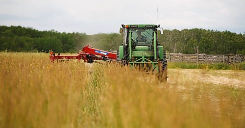 MIKE DEAL / WINNIPEG FREE PRESS
Farm project - The Tapley farm
Graham Tapley with his son Walker, 2, cutting hay in one of their fields.
200720 - Monday, July 20, 2020.