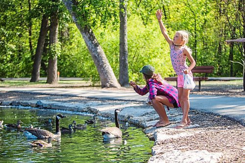 MIKAELA MACKENZIE / WINNIPEG FREE PRESS

Hanna Treadway (seven) and her sister, Lily Treadway (11), feed the ducks and geese at the duck pond at St. Vital Park in Winnipeg on Tuesday, Aug. 11, 2020. Standup.
Winnipeg Free Press 2020.
