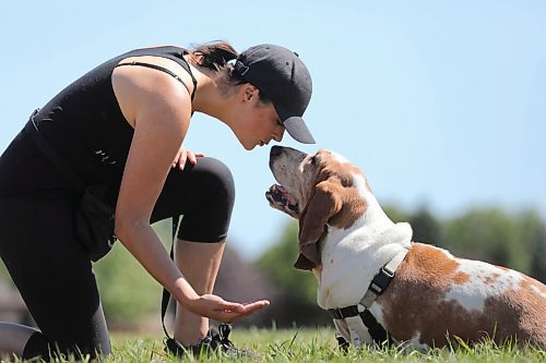 RUTH BONNEVILLE / WINNIPEG FREE PRESS

local - dog training

Photo of  Leesa Westwood co-owner of  Pliant Pack Positive Dog Training with one of her dogs, Otis, teaching him at Riccardo De Thomasis Park Monday. 

Subject: Leesa Westwood (hat) and Emily Lowes  are the co-owners of Pliant Pack Positive Dog Training.  Photos of them with their different dogs doing tricks and training techniques at Riccardo De Thomasis Park Monday. 

See Eva Wasney's story

 Aug 10th, 2020