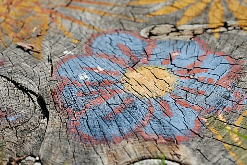 SHANNON VANRAES/WINNIPEG FREE PRESS
Some elm stumps on Warsaw St. in Winnipeg's Earl Grey neighbourhood have been painted by local residents.
Melissa Martin column for 49.8