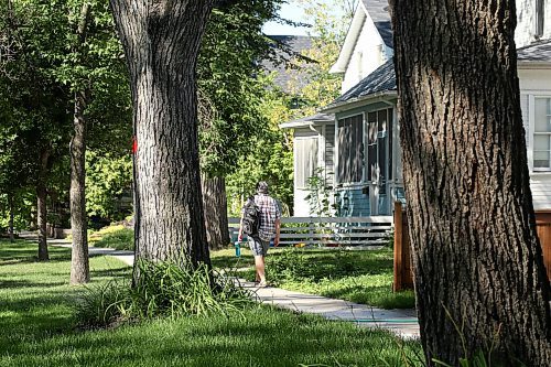 SHANNON VANRAES/WINNIPEG FREE PRESS
Oly Backstrom walks down Warsaw St. He's been mapping out disappearing elm trees in Winnipeg's Earl Grey neighbourhood.
Melissa Martin column for 49.8