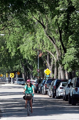 SHANNON VANRAES/WINNIPEG FREE PRESS
A woman cycles under a canopy of elm trees on Fleet st. in Winnipeg on August 19, 2020.