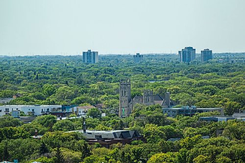MIKAELA MACKENZIE / WINNIPEG FREE PRESS

The tree canopy and Westminster United Church, as seen from the Woodsworth Building, in Winnipeg on Wednesday, Aug. 19, 2020. For Gabrielle Piche story.
Winnipeg Free Press 2020.