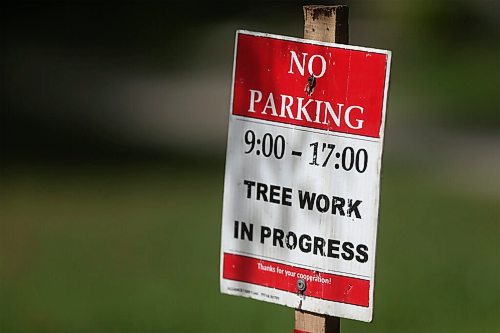 SHANNON VANRAES/WINNIPEG FREE PRESS
A sign warns of impending tree work on Nassau St. N on August 19, 2020.