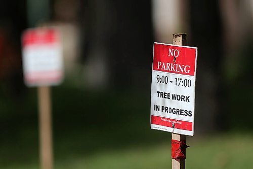 SHANNON VANRAES/WINNIPEG FREE PRESS
A sign warns of impending tree work on Nassau St. N on August 19, 2020.