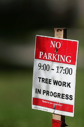 SHANNON VANRAES/WINNIPEG FREE PRESS
A sign warns of impending tree work on Nassau St. N on August 19, 2020.