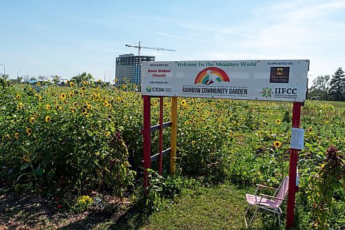 JESSE BOILY  / WINNIPEG FREE PRESS
The Rainbow Community Garden on Thursday.  Around 250 families of new immigrants and refugees use the gardens planting plants from their home countries and native plants of Canada. Thursday, Aug. 20, 2020.
Reporter: Cody Sellar
