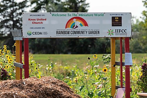 JESSE BOILY  / WINNIPEG FREE PRESS
The Rainbow Community Garden on Thursday.  Around 250 families of new immigrants and refugees use the gardens planting plants from their home countries and native plants of Canada. Thursday, Aug. 20, 2020.
Reporter: Cody Sellar