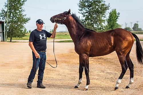 MIKAELA MACKENZIE / WINNIPEG FREE PRESS

Breeder Cam Ziprick poses for a photo with yearling Texas Mickey at the sale barns at the Assiniboia Downs in Winnipeg on Friday, Aug. 21, 2020. For George Williams story.
Winnipeg Free Press 2020.