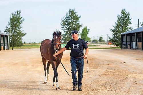 MIKAELA MACKENZIE / WINNIPEG FREE PRESS

Breeder Cam Ziprick poses for a photo with yearling Texas Mickey at the sale barns at the Assiniboia Downs in Winnipeg on Friday, Aug. 21, 2020. For George Williams story.
Winnipeg Free Press 2020.