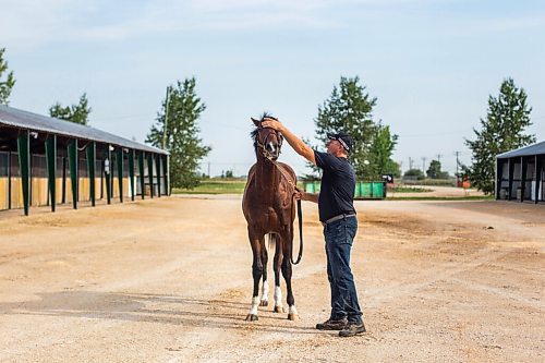 MIKAELA MACKENZIE / WINNIPEG FREE PRESS

Breeder Cam Ziprick poses for a photo with yearling Texas Mickey at the sale barns at the Assiniboia Downs in Winnipeg on Friday, Aug. 21, 2020. For George Williams story.
Winnipeg Free Press 2020.