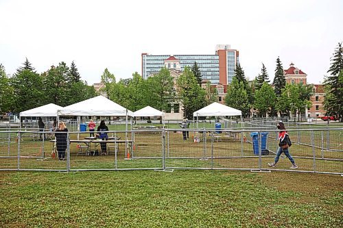 MIKE DEAL / WINNIPEG FREE PRESS

Starting today (September 1st) staff Andrew students at the University of Manitoba Fort Garry campus can pick up reusable cloth masks in the Quad outside the administration building. 
200901 - Tuesday, September 1, 2020