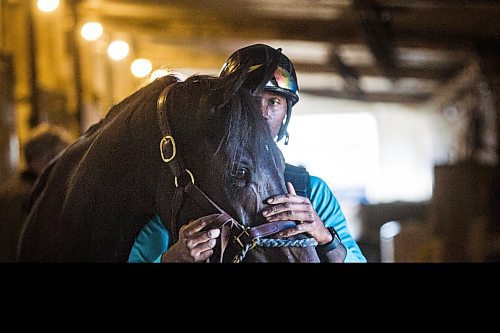 MIKAELA MACKENZIE / WINNIPEG FREE PRESS

Trainer Devon Gittens and horse Purrsistent pose for a portrait at the Assiniboia Downs backstretch in Winnipeg on Friday, Sept. 4, 2020. For George Williams story.
Winnipeg Free Press 2020.