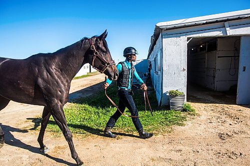 MIKAELA MACKENZIE / WINNIPEG FREE PRESS

Trainer Devon Gittens and horse Purrsistent pose for a portrait at the Assiniboia Downs backstretch in Winnipeg on Friday, Sept. 4, 2020. For George Williams story.
Winnipeg Free Press 2020.