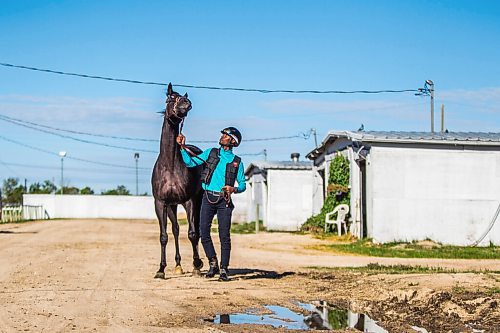 MIKAELA MACKENZIE / WINNIPEG FREE PRESS

Trainer Devon Gittens and horse Purrsistent pose for a portrait at the Assiniboia Downs backstretch in Winnipeg on Friday, Sept. 4, 2020. For George Williams story.
Winnipeg Free Press 2020.