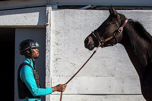 MIKAELA MACKENZIE / WINNIPEG FREE PRESS

Trainer Devon Gittens and horse Purrsistent pose for a portrait at the Assiniboia Downs backstretch in Winnipeg on Friday, Sept. 4, 2020. For George Williams story.
Winnipeg Free Press 2020.