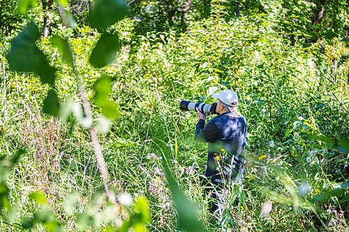 MIKAELA MACKENZIE / WINNIPEG FREE PRESS

Michael Loyd takes photos of warblers by the river at Assiniboine Park in Winnipeg on Friday, Sept. 4, 2020. Standup.
Winnipeg Free Press 2020.