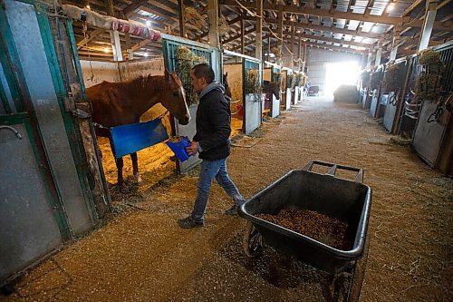 MIKE DEAL / WINNIPEG FREE PRESS
Sheldon Chickeness, exercise rider for Jerry Gourneau stables, from Poundmaker, Sask, adds some feed to the horses buckets Thursday morning.
See Jayson Bell story
200910 - Thursday, September 10, 2020.