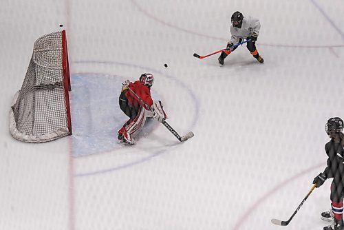 JESSE BOILY  / WINNIPEG FREE PRESS
Players do drills at the try outs for the AAA Monarchs at the Bell MTS Iceplex on Thursday. Thursday, Sept. 10, 2020.
Reporter: