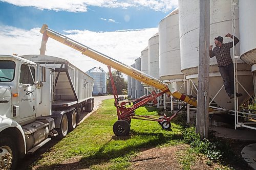MIKE DEAL / WINNIPEG FREE PRESS
Colin Penner watches as his truck fills up with a load of oats heading to the grain elevator.
Because of the overnight frost and the lack of wind, Colin Penner a farmer close to Elm Creek, MB, loads a truck with oats to take to the grain elevator instead of heading out to the field to continue harvesting soybeans Thursday. He usually starts combining around noon, after the morning moisture has evaporated, instead he will start mid to late afternoon.
200917 - Thursday, September 17, 2020.