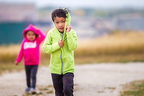 MIKAELA MACKENZIE / WINNIPEG FREE PRESS

Bishop Eugenio (three, front) and his sister, Veyda (two), go for a walk on a windy day at Westview Park in Winnipeg on Monday, Sept. 21, 2020.  Standup.

Winnipeg Free Press 2020