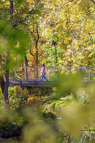 MIKAELA MACKENZIE / WINNIPEG FREE PRESS

Folks walk across a pedestrian bridge at Kildonan Park on the first day of fall in Winnipeg on Tuesday, Sept. 22, 2020.  Standup.

Winnipeg Free Press 2020