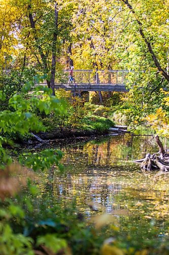 MIKAELA MACKENZIE / WINNIPEG FREE PRESS

Folks walk across a pedestrian bridge at Kildonan Park on the first day of fall in Winnipeg on Tuesday, Sept. 22, 2020.  Standup.

Winnipeg Free Press 2020