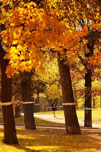 JOHN WOODS / WINNIPEG FREE PRESS
Surrounded by fall colours a runner makes his way along Wellingtton in Winnipeg Tuesday, September 22, 2020. 

Reporter: standup