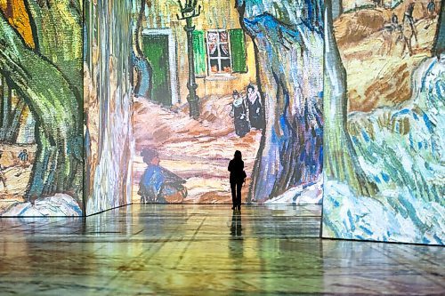 Mike Sudoma / Winnipeg Free Press
A spectator takes a look at some of Van Goghes work as the Imagine Van Gogh, The Immersive Exhibition is open to the public for the first time at the RBC Convention Centre following a media press event Thursday afternoon
September 23, 2020