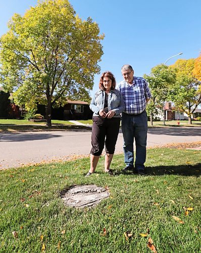 RUTH BONNEVILLE / WINNIPEG FREE PRESS

LOCAL - Tree canopy 

Patricia Gagnon and her husband Ernie stand next to a tree stump on their boulevard in North Kildonan that's been there for over 4 years. The large tree, thought to be a Green Ash tree, was damaged in a 2016 storm and it was promptly removed down to the stump (which remains).  

They're frustrated with the replacement timeline for the city tree on their boulevard which they've been told is July 2022 to replace it.  She believes the city should increase its focus on tree protection and replacement, and not just tree planting, if it really wants to increase the overall canopy. 

Reporter: Joyanne Pursaga.

Sept 25th,, 2020