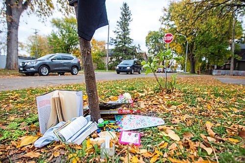 MIKAELA MACKENZIE / WINNIPEG FREE PRESS

A memorial at the site of a fatal crash at Andrews Street and Boyd Avenue in Winnipeg on Monday, Sept. 28, 2020. 

Winnipeg Free Press 2020