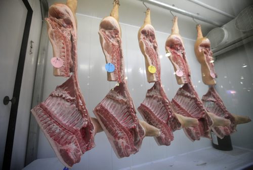 Brandon Sun Hog carcases hang on display in a cooler inside the Manitoba Room during Hog Days on Thursday afternoon.  (Bruce Bumstead/Brandon Sun)