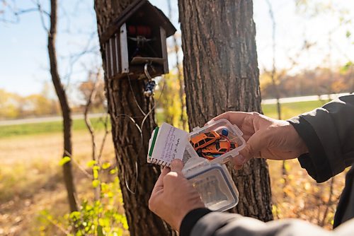 JESSE BOILY  / WINNIPEG FREE PRESS
A peek inside a geocache at Assiniboine Park on Tuesday. Geocaching is like a treasure hunt around the city using GPS locations that hide lists of people who found the cache. Tuesday, Sept. 29, 2020.
Reporter: Brenda Suderman