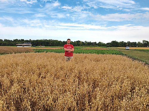 Canstar Community News Callum Morrison stands between two oat plots at his long-term cover cropping experiment in Carman before this year's harvest. (SUPPLIED)