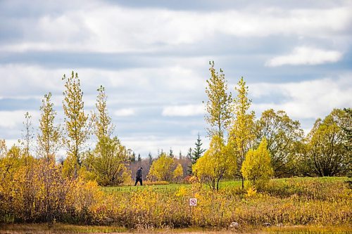 MIKAELA MACKENZIE / WINNIPEG FREE PRESS

Robert Woodrow enjoys the mild fall weather at Birds Hill Provincial Park on Wednesday, Oct. 7, 2020. Standup.

Winnipeg Free Press 2020