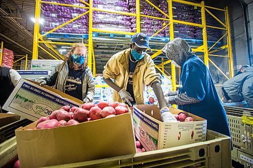 MIKAELA MACKENZIE / WINNIPEG FREE PRESS

Freedom School principal Francine Wiebe (left), student Nhial Tut, and student Chudier Tuach pack thousands of pounds of surplus potatoes and onions to be delivered to community members in Winnipeg on Tuesday, Oct. 13, 2020. For Kellen story.

Winnipeg Free Press 2020